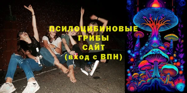 jwh Тайга