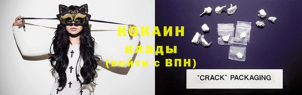 стафф Арсеньев