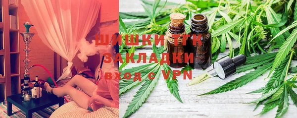 стафф Арсеньев