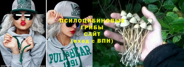 стафф Арсеньев